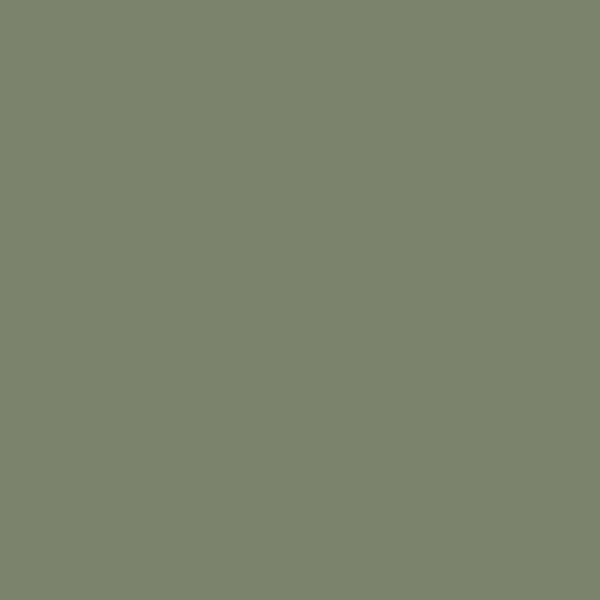 Dulux Powder Coat Colour Matt & Satin Pale Eucalypt